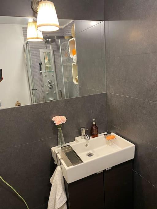 Renovado Com Ac, 2 Wc Completos, Terraco E Garagem Porto